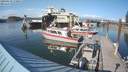 ./images/quadra/hbidock/20190818/hbidock20190818_170000M.jpg