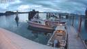 ./images/quadra/hbidock/20190819/hbidock20190819_060000M.jpg