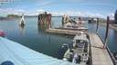./images/quadra/hbidock/20190819/hbidock20190819_115500M.jpg