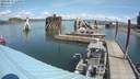 ./images/quadra/hbidock/20190819/hbidock20190819_120000M.jpg