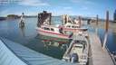 ./images/quadra/hbidock/20190819/hbidock20190819_154500M.jpg
