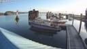 ./images/quadra/hbidock/20190822/hbidock20190822_081501M.jpg