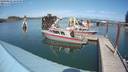 ./images/quadra/hbidock/20190822/hbidock20190822_144000M.jpg