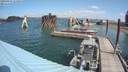 ./images/quadra/hbidock/20190825/hbidock20190825_114000M.jpg