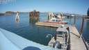 ./images/quadra/hbidock/20190826/hbidock20190826_134000M.jpg
