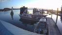 ./images/quadra/hbidock/20190827/hbidock20190827_061000M.jpg