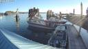 ./images/quadra/hbidock/20190827/hbidock20190827_082000M.jpg