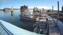 ./images/quadra/hbidock/20190827/hbidock20190827_092500M.jpg
