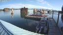 ./images/quadra/hbidock/20190905/hbidock20190905_092000M.jpg