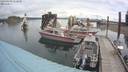 ./images/quadra/hbidock/20190909/hbidock20190909_112000M.jpg