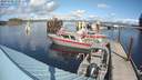 ./images/quadra/hbidock/20191005/hbidock20191005_133000M.jpg