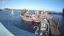./images/quadra/hbidock/20200105/hbidock20200105_122000M.jpg