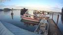 ./images/quadra/hbidock/20200105/hbidock20200105_154500M.jpg