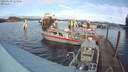 ./images/quadra/hbidock/20200109/hbidock20200109_123500M.jpg