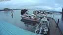 ./images/quadra/hbidock/20200124/hbidock20200124_081500M.jpg