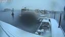 ./images/quadra/hbidock/20200204/hbidock20200204_080500M.jpg