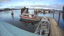 ./images/quadra/hbidock/20200209/hbidock20200209_141000M.jpg