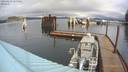 ./images/quadra/hbidock/20200213/hbidock20200213_115500M.jpg