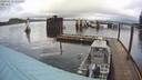 ./images/quadra/hbidock/20200213/hbidock20200213_122000M.jpg