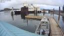 ./images/quadra/hbidock/20200213/hbidock20200213_165000M.jpg