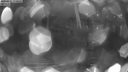 ./images/quadra/hbidock/20200215/hbidock20200215_070500M.jpg