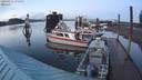 ./images/quadra/hbidock/20200215/hbidock20200215_175000M.jpg