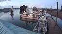 ./images/quadra/hbidock/20200216/hbidock20200216_175501M.jpg