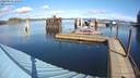 ./images/quadra/hbidock/20200218/hbidock20200218_120500M.jpg