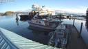 ./images/quadra/hbidock/20200229/hbidock20200229_084500M.jpg