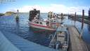 ./images/quadra/hbidock/20200229/hbidock20200229_141000M.jpg