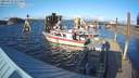 ./images/quadra/hbidock/20200229/hbidock20200229_161500M.jpg