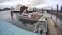 ./images/quadra/hbidock/20200303/hbidock20200303_170500M.jpg