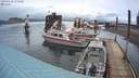 ./images/quadra/hbidock/20200303/hbidock20200303_173500M.jpg
