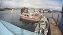 ./images/quadra/hbidock/20200305/hbidock20200305_124500M.jpg