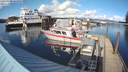./images/quadra/hbidock/20200308/hbidock20200308_163501M.jpg