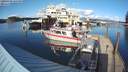 ./images/quadra/hbidock/20200308/hbidock20200308_165500M.jpg