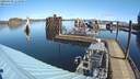 ./images/quadra/hbidock/20200309/hbidock20200309_111500M.jpg