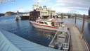 ./images/quadra/hbidock/20200311/hbidock20200311_170500M.jpg
