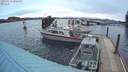 ./images/quadra/hbidock/20200313/hbidock20200313_080000M.jpg