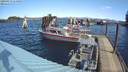 ./images/quadra/hbidock/20200313/hbidock20200313_115000M.jpg