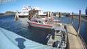 ./images/quadra/hbidock/20200313/hbidock20200313_130500M.jpg