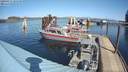 ./images/quadra/hbidock/20200317/hbidock20200317_131500M.jpg