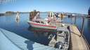 ./images/quadra/hbidock/20200317/hbidock20200317_133500M.jpg