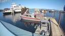 ./images/quadra/hbidock/20200317/hbidock20200317_143500M.jpg