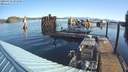 ./images/quadra/hbidock/20200318/hbidock20200318_095000M.jpg