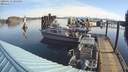 ./images/quadra/hbidock/20200319/hbidock20200319_095500M.jpg