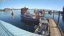 ./images/quadra/hbidock/20200320/hbidock20200320_101500M.jpg
