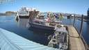 ./images/quadra/hbidock/20200320/hbidock20200320_110500M.jpg