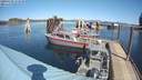 ./images/quadra/hbidock/20200320/hbidock20200320_131500M.jpg