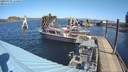 ./images/quadra/hbidock/20200321/hbidock20200321_114500M.jpg